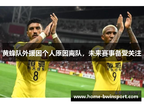 黄蜂队外援因个人原因离队，未来赛事备受关注