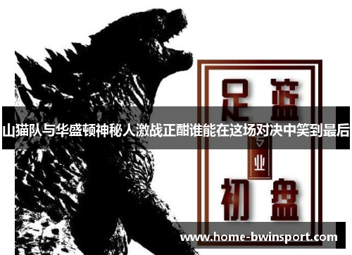 山猫队与华盛顿神秘人激战正酣谁能在这场对决中笑到最后